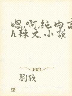嗯,啊,纯肉高h辣文小说