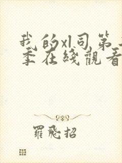 我的xl司第二季在线观看免费高清