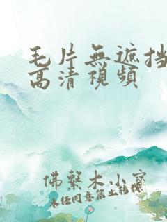 毛片无遮挡免费高清视频