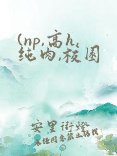 (np,高h,纯肉,校园