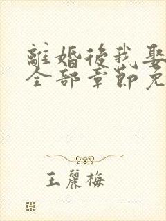 离婚后我娶了岳全部章节免费阅读