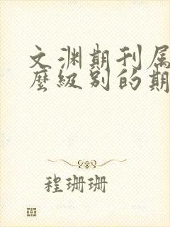 文渊期刊属于什么级别的期刊