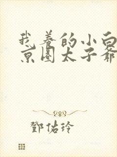 我养的小白脸是京圈太子爷免费短剧