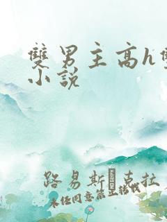 双男主高h双性小说