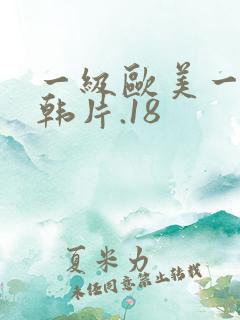 一级欧美一级日韩片.18