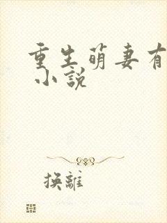 重生萌妻有空间 小说