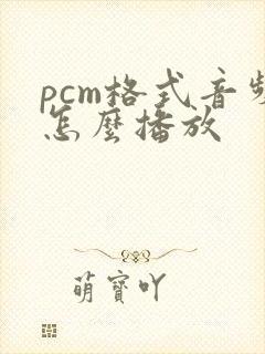 pcm格式音频怎么播放