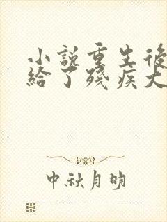 小说重生后我嫁给了残疾大佬