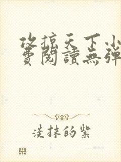 攻掠天下小说免费阅读无弹窗