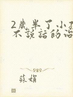 2岁半了小孩还不说话的治疗方法
