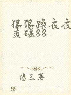 狠狠躁夜夜躁人爽碰88