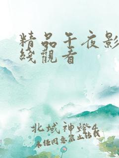 精品午夜影院在线观看