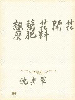 想兰花开花用什么肥料
