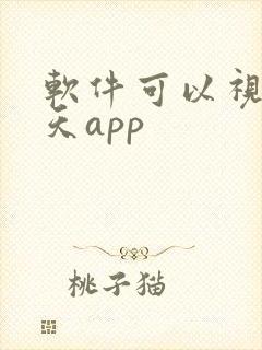 软件可以视频聊天app