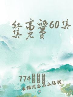 红高粱60集全集免费