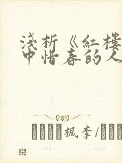 浅析《红楼梦》中惜春的人物形象