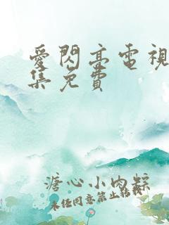 爱闪亮电视剧全集免费