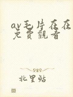 av毛片在在线免费观看