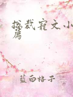 总裁宠文小说推荐
