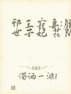 邪王宠妻:腹黑世子妃 花间雪