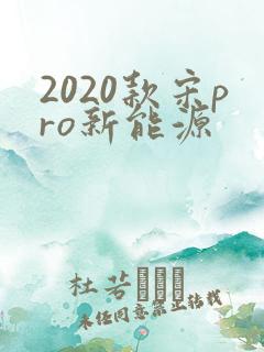 2020款宋pro新能源