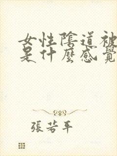 女性阴道被插入是什么感觉