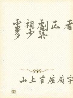 电视剧正者无敌多少集
