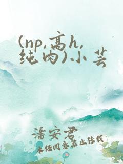 (np,高h,纯肉)小芸