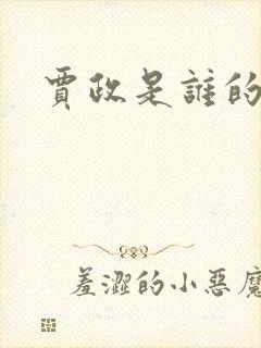 贾政是谁的儿子