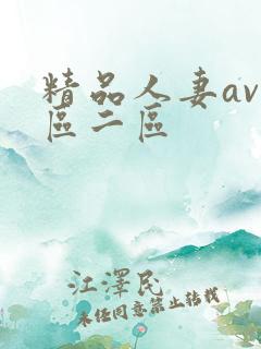 精品人妻av一区二区