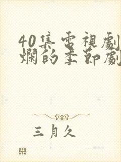 40集电视剧灿烂的季节剧情