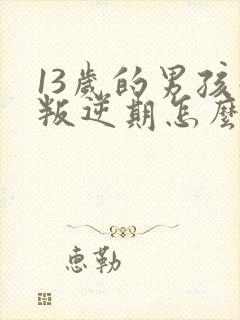 13岁的男孩子叛逆期怎么教育