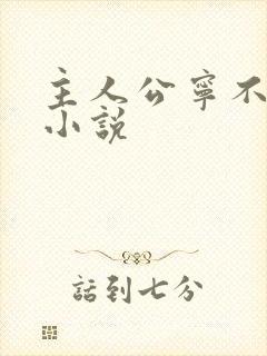 主人公宁不凡的小说