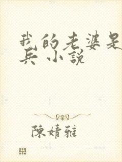 我的老婆是特种兵 小说