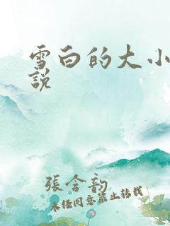 雪白的大小姐小说