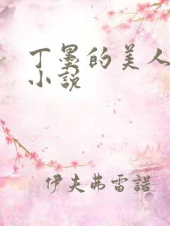 丁墨的美人为馅小说