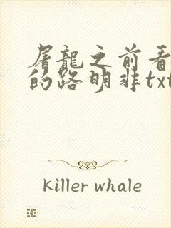 屠龙之前看龙族的路明非txt