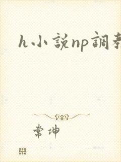 h小说np调教