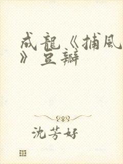 成龙《捕风追影》豆瓣