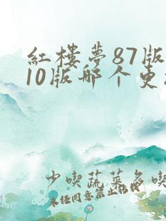 红楼梦87版和10版哪个更接近原著