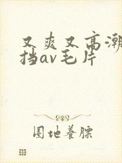 又爽又高潮无遮挡av毛片
