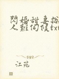 闪婚甜妻总裁大人难伺候txt