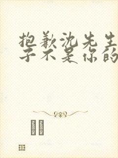 抱歉沈先生,孩子不是你的免费观看