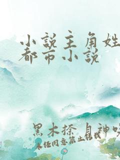 小说主角姓沈的都市小说