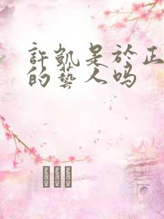 许凯是于正旗下的艺人吗