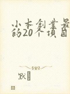 小本创业最赚钱的20个项目