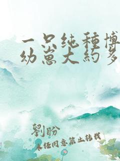 一只纯种博美狗幼崽大约多少钱