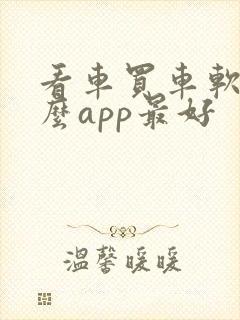看车买车软件什么app最好