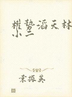 权势滔天林峰赵小二