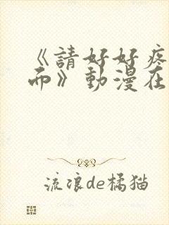 《请好好疼爱里面》动漫在线观看免费